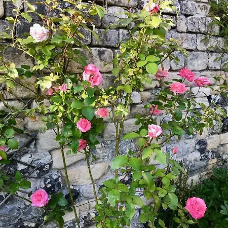 Les Chambres D'amis De Fred Et Mand Konukevi Honfleur